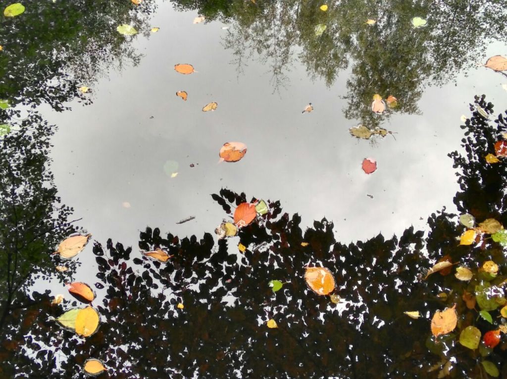 Unerhört Betörendes gehört