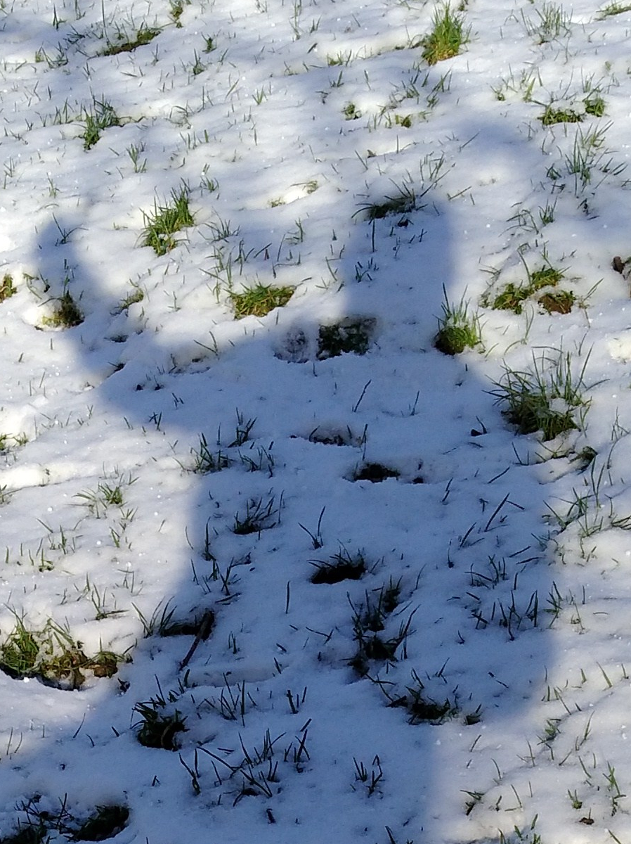 Wenn wir erst die werden&nbsp;müssen