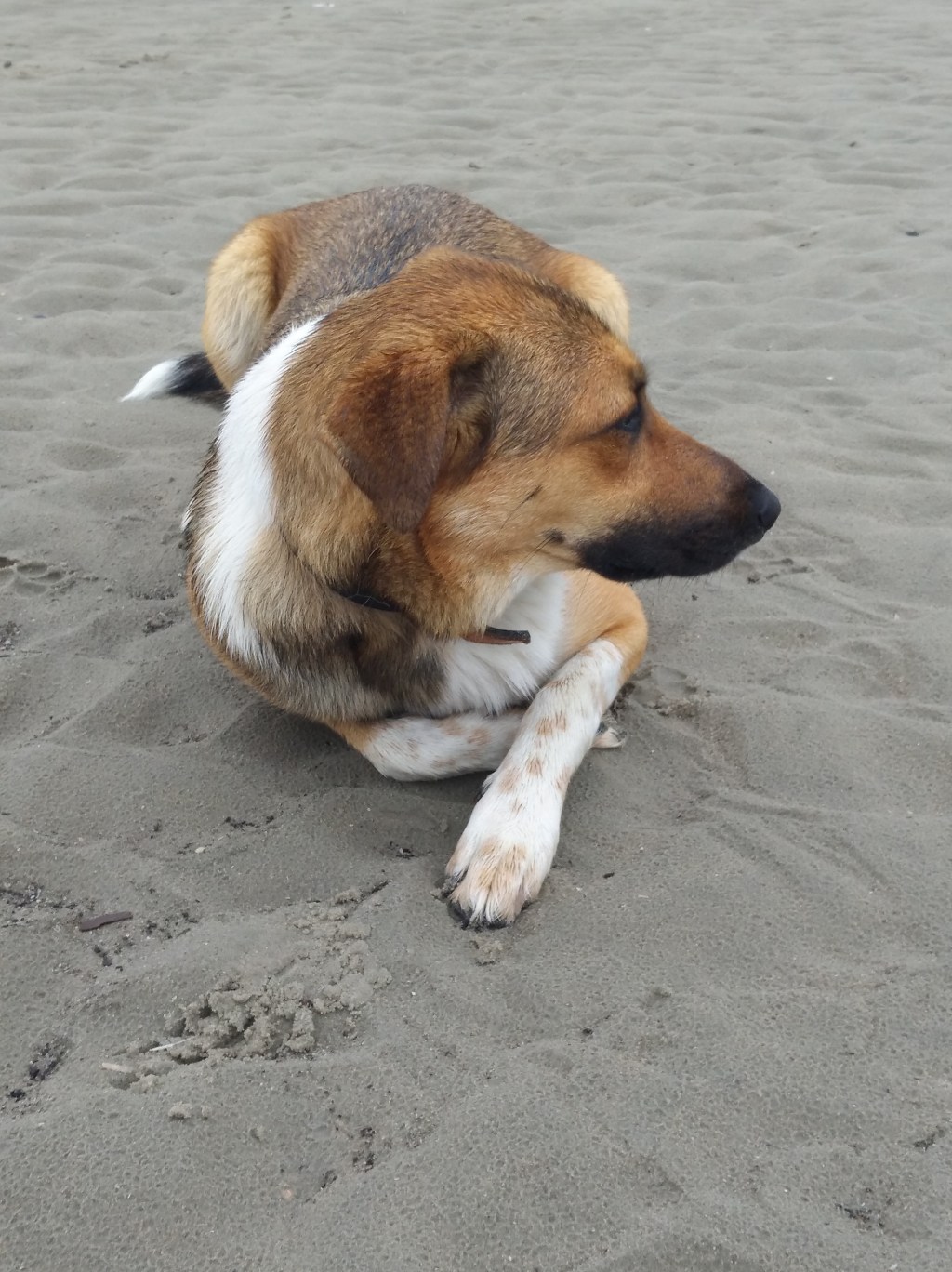 Meisterliche Alltagsbelehrungen