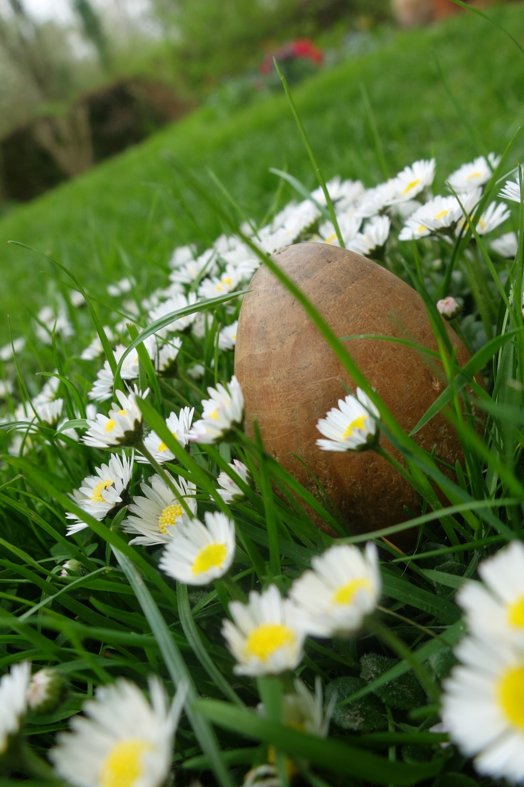 Grundeinkommen Tag 8