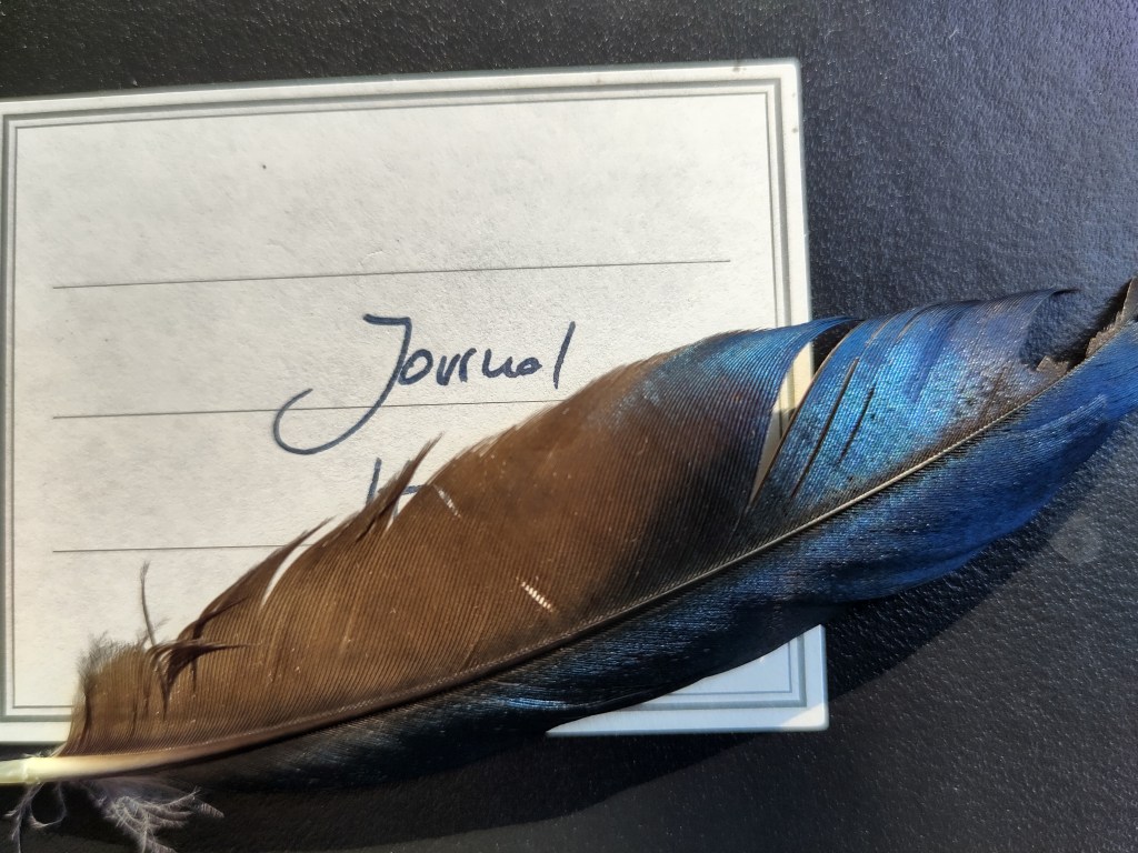 Tag 1: Von SchmetterElstern & Oleander-Riegeln